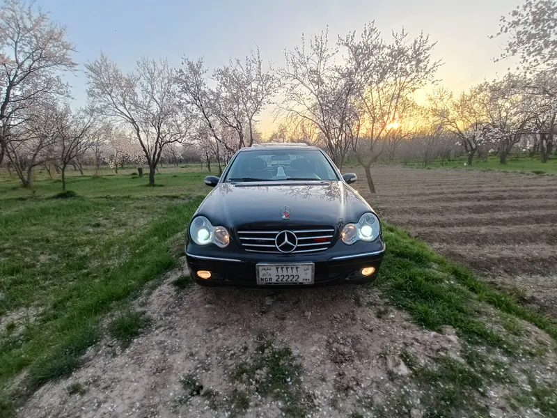 Mercedes-Benz 2005 (8)