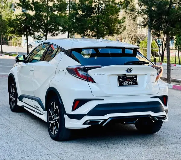 Toyota Hybrid 2017 (3)