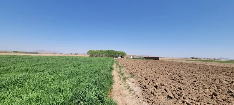 Farm land for sale, 15 jerib, 6 rooms, Daman, Kandahar (2)