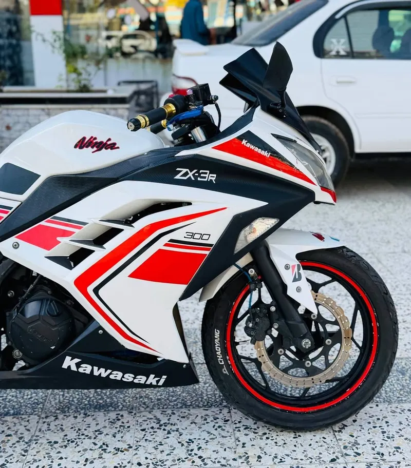 Kawasaki Ninja 300 2019 (4)