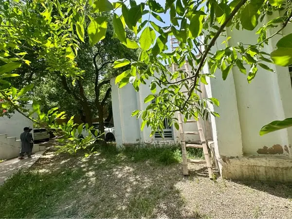 Fruit garden for sale, 2 jerib (4000 m²), Nawin Awlia (2)