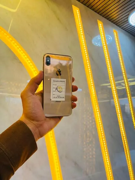 iPhone XS Max (1)