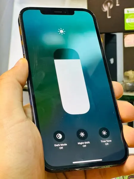 Model: iPhone 12 Pro Max (2)