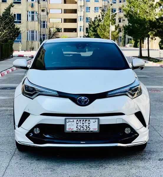 Toyota Hybrid 2017 (1)