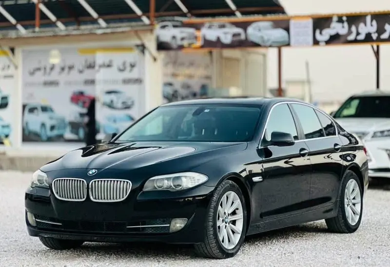 BMW 5 Series 2015 (2)
