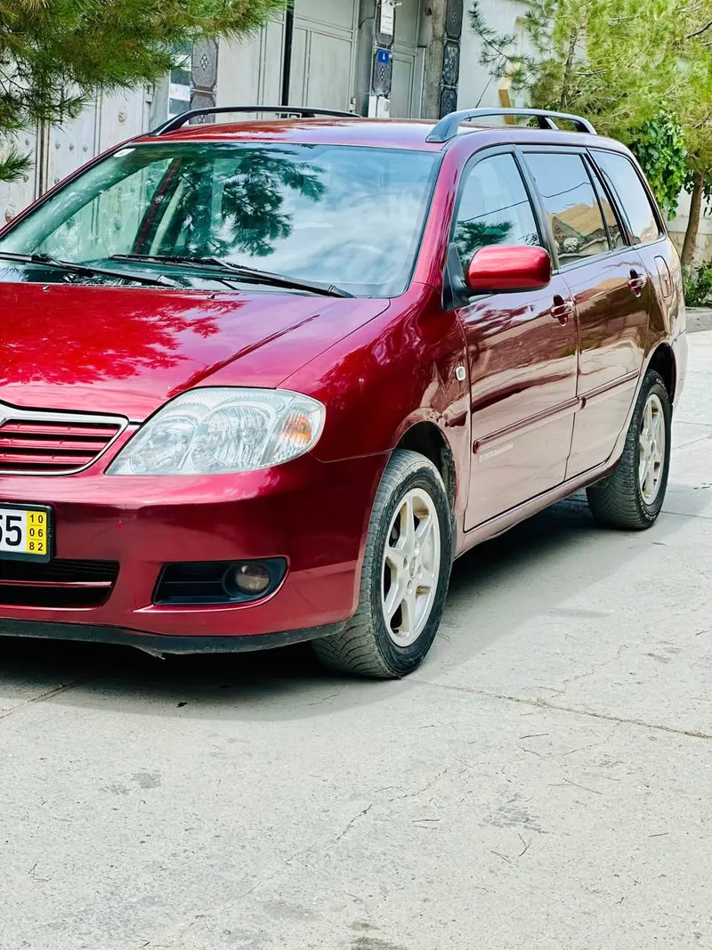 Toyota Fielder 2007 (2)