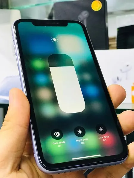 iPhone 11 (3)
