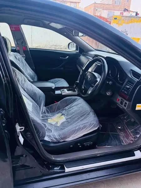 Toyota Mark X 2010 (3)