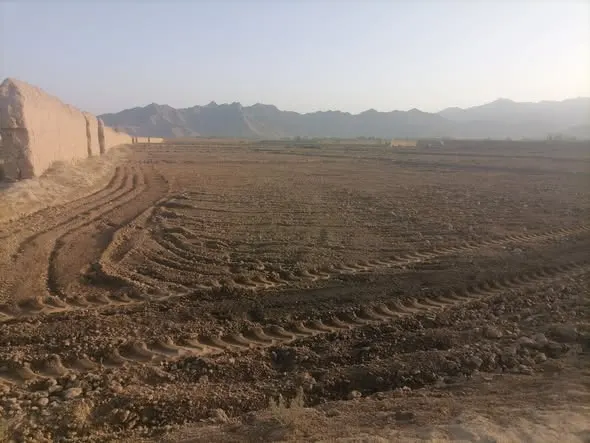 Farm land for sale, 5 jerib, Shah Mazar, Baraki Barak, Logar (1)