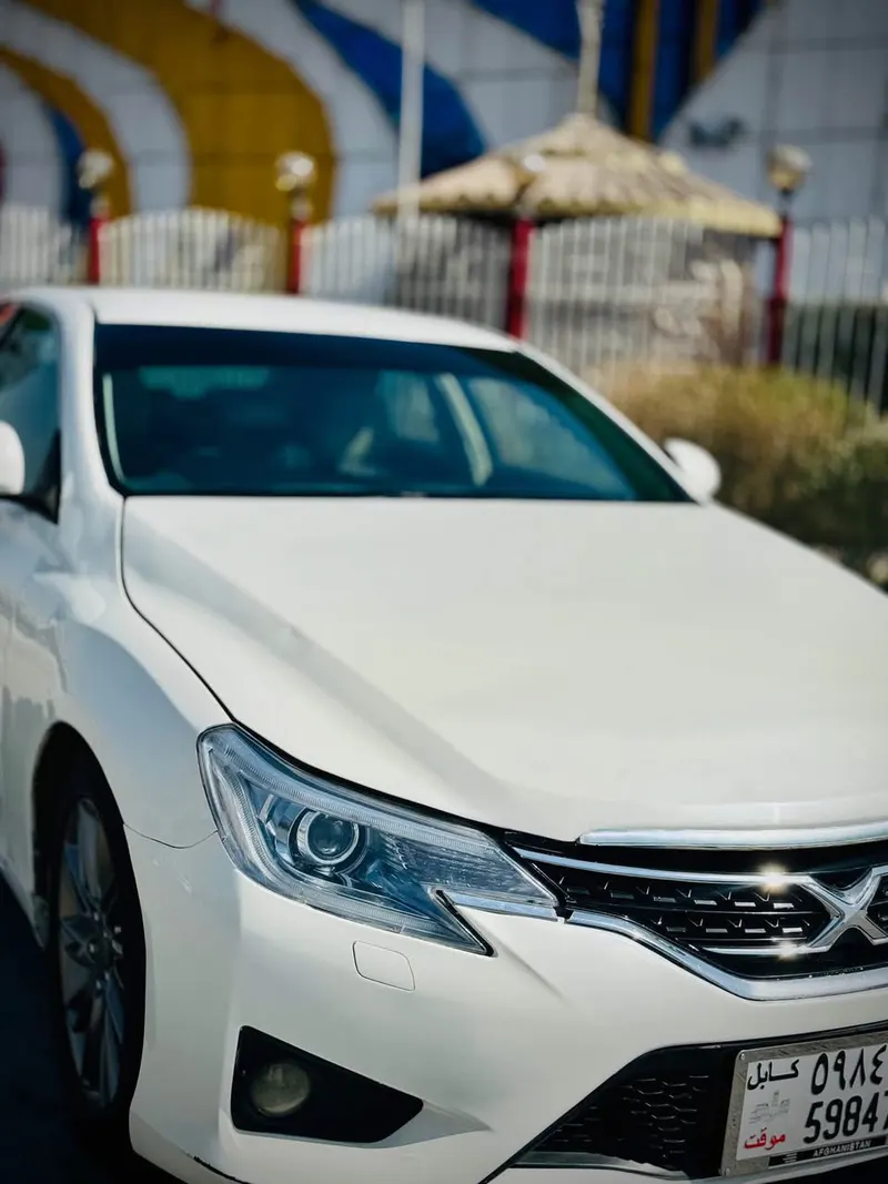 Toyota Mark X 2010 (2)