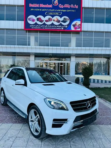 Mercedes-Benz 2015 (1)