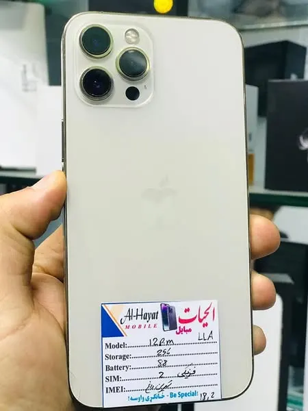 iPhone 12 Pro Max - Dual SIM, 256GB (1)