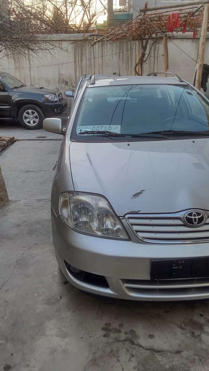 Toyota Fielder 2006 (6)