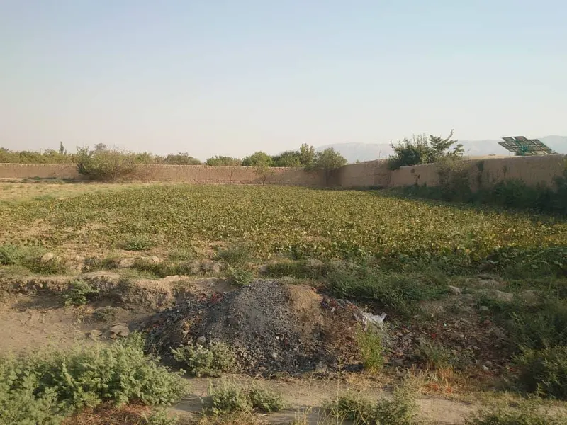 Land for sale, 1400 m², Khasa Paz village, Mazar-i-Sharif (3)