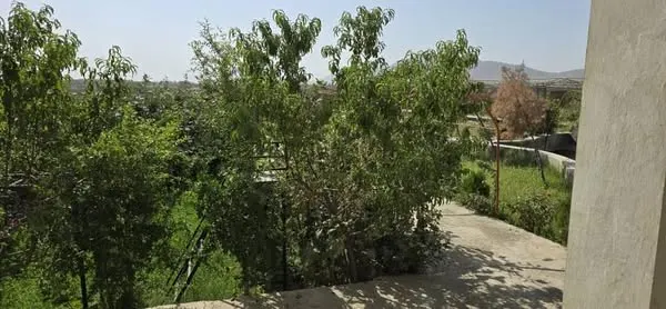 House and garden (4)