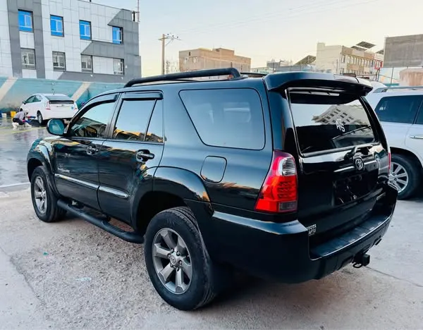 Toyota 4 Runner 2008 (3)