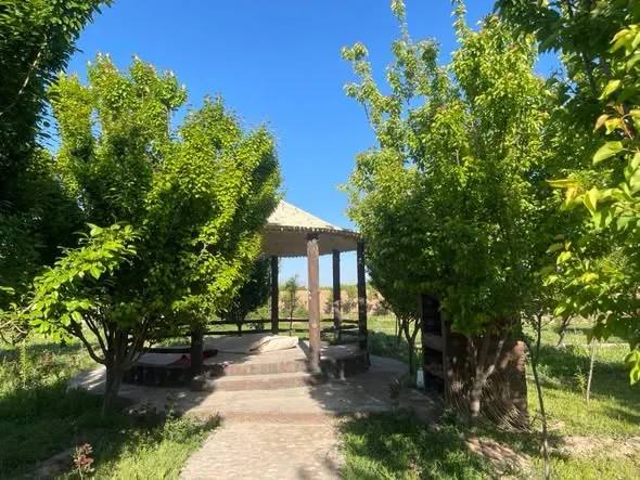 Garden for sale, 3 jerib, Shewaki / Shidayi (4)