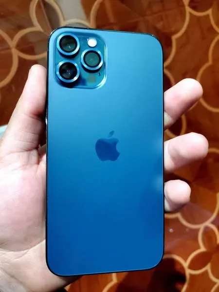 iPhone 12 Pro Max (1)