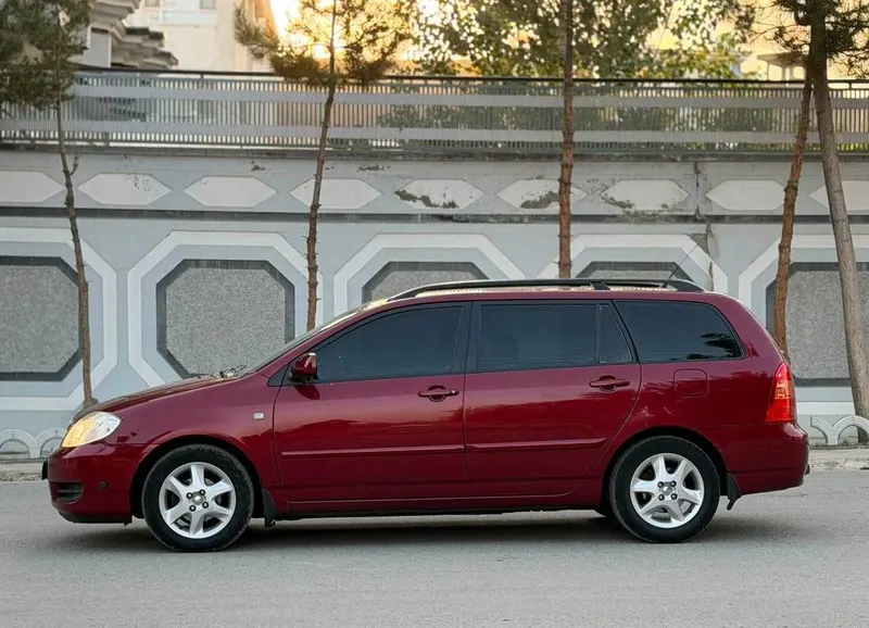 Toyota Fielder 2006 (3)