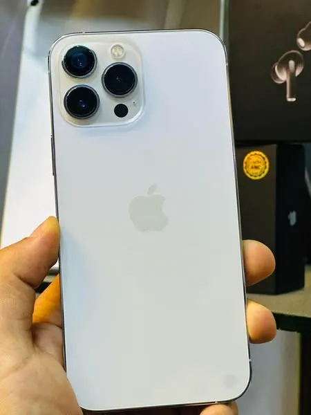 iPhone 13 Pro Max (1)