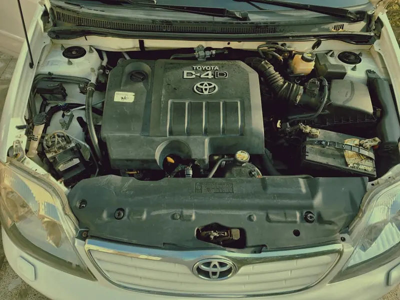 Toyota Fielder 2007 (4)