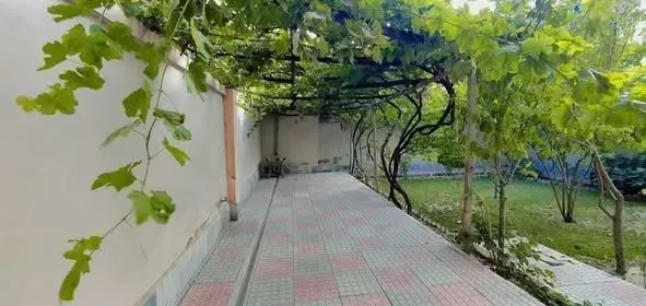 خانه 4 منزله برای فروش، 11 اتاق، 300 m²، بگرامی، کابل (3)