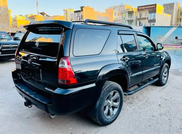Toyota 4Runner 2008 (3)