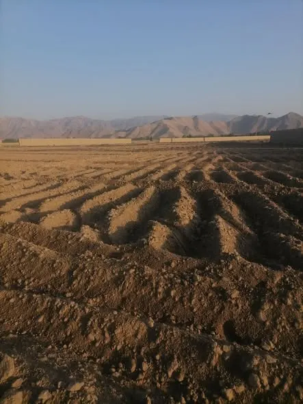 Farm land for sale, 5 jerib, Shah Mazar, Baraki Barak, Logar (2)