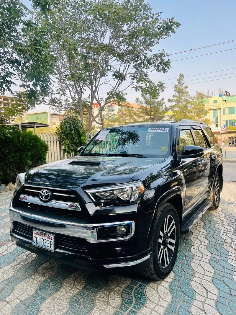 TOYOTA 4RUNNER 2010 (3)
