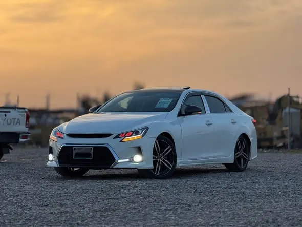 Toyota Mark X 2010 (2)