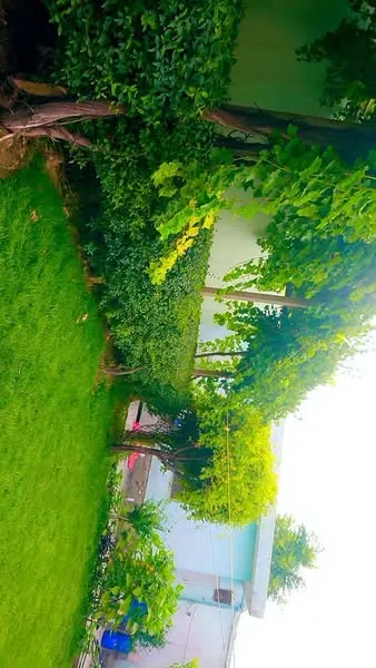 House for sale, 8 rooms, 800 m², Qabil Bai (4)