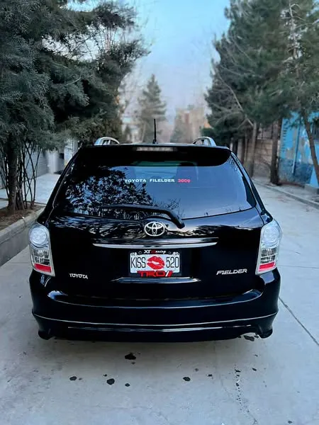 Toyota Fielder 2008 (3)