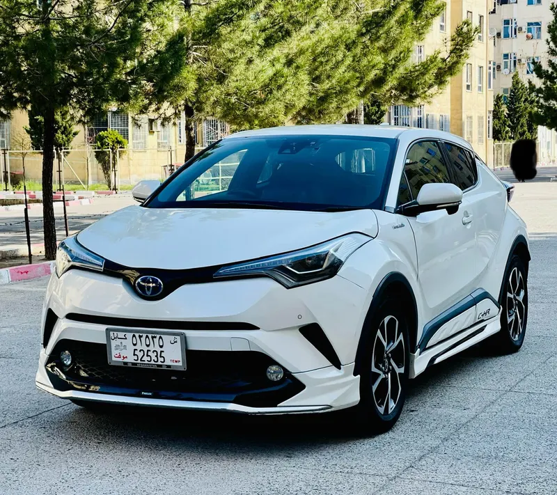 Toyota Hybrid 2017 (2)