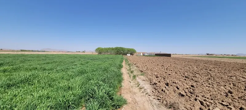 Farm land for sale, 15 jerib, 6 rooms, Daman, Kandahar (1)