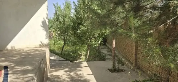 House and garden (2)