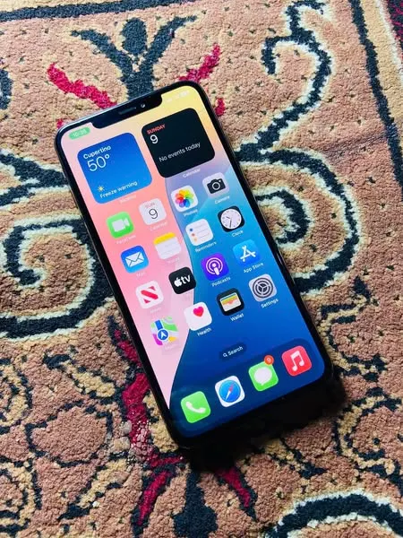 IPhone XS Max (2)