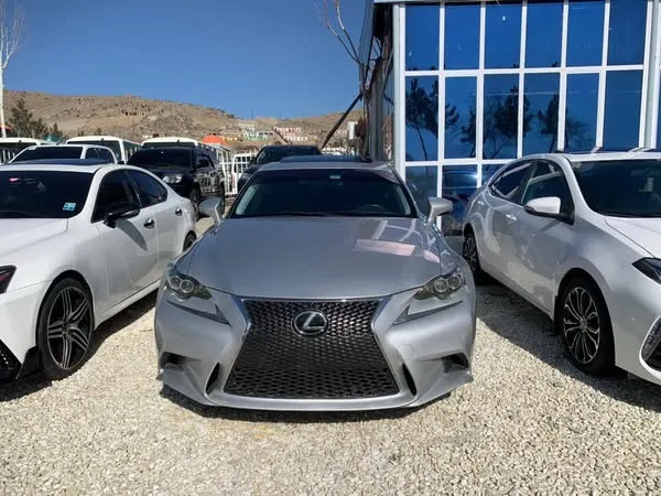 Lexus 2015 (1)