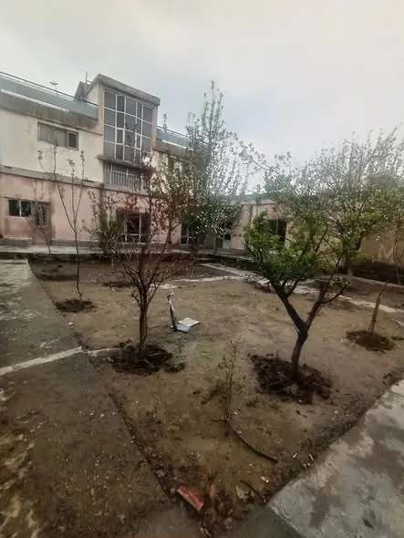 House for rent, 6 rooms (2)