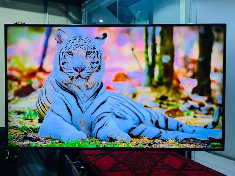 LG 75 inch 4K Smart TV and LG 65 inch OLED TV (1)