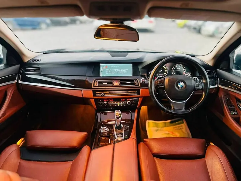 BMW 5 Series 2015 (6)