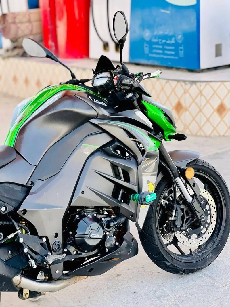 Kawasaki Z300 Naked Motorcycle 2022 (2)