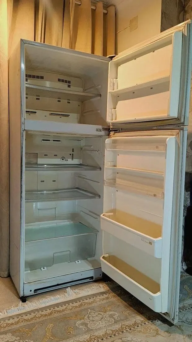 Sharp Original Large 24 ft Refrigerator (2)