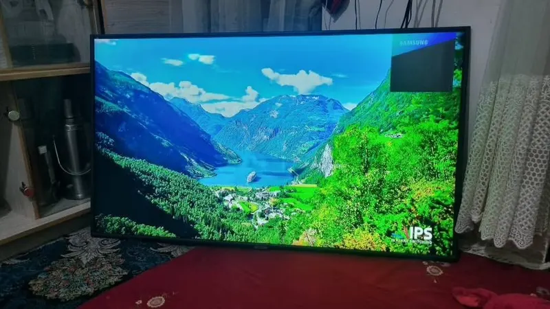 Samsung Original 55 inch 4K TV (2)