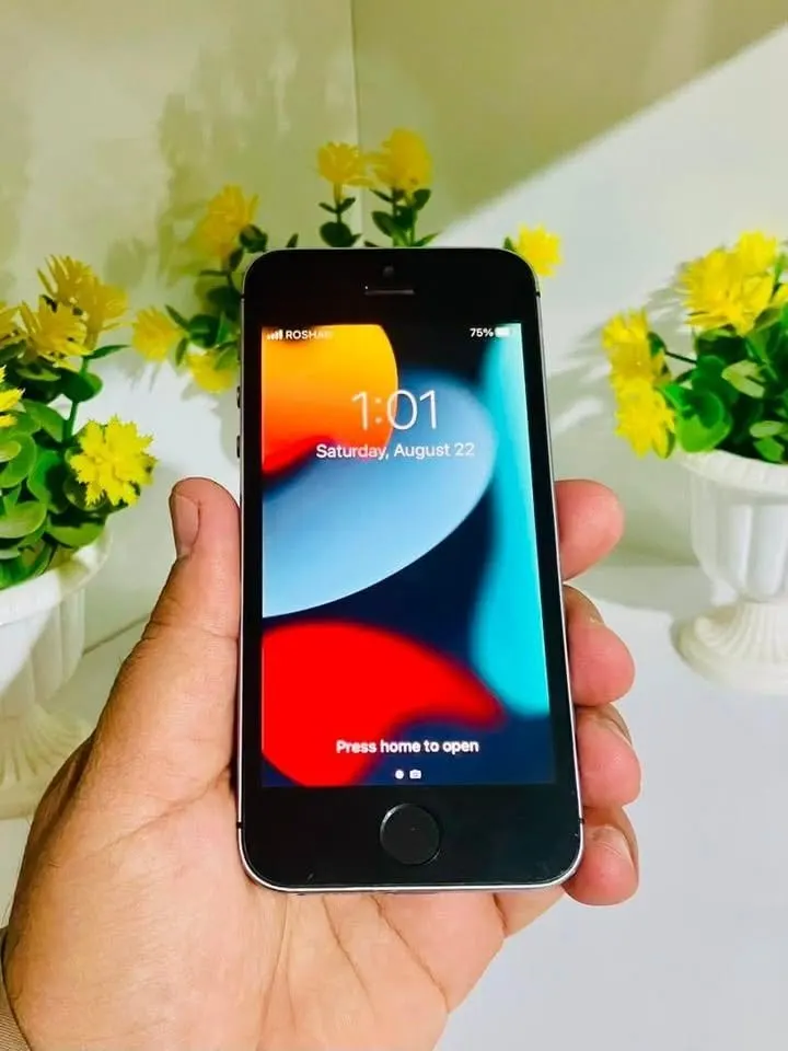 Apple iPhone SE 64GB, 89% Battery Health (2)