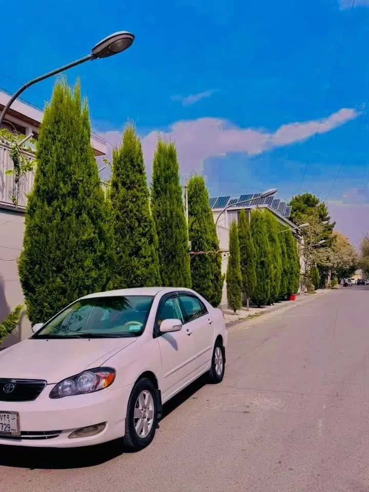 2006 LE Sedan, white, full options (4)