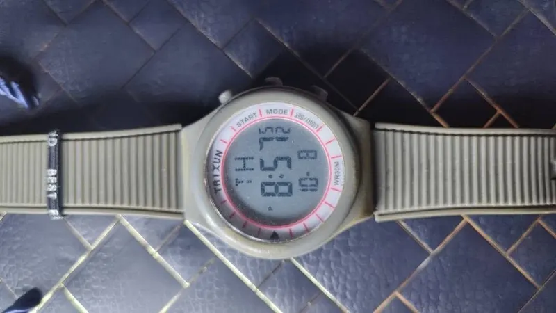 Three Original Casio Watches (2)