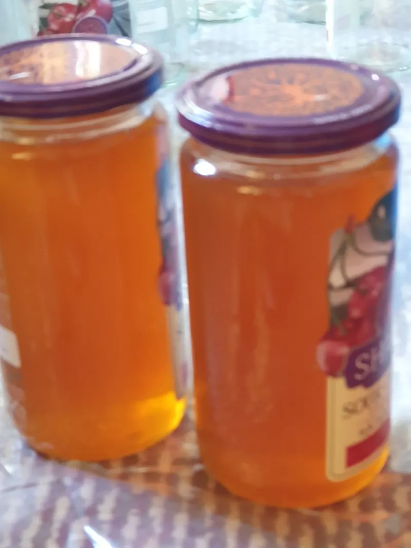 Pure Badakhshan Jambul Honey (1)
