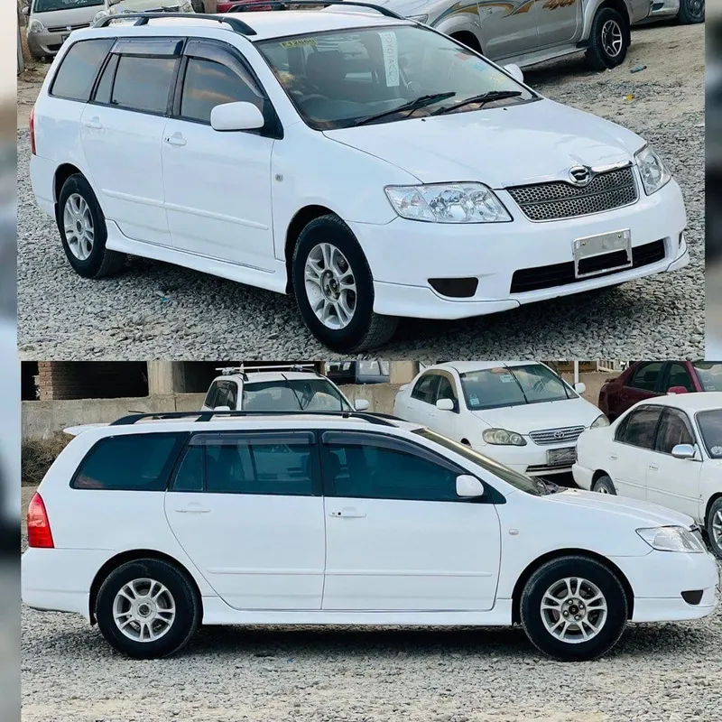 Toyota Fielder 2005 4WD white, automatic transmission (1)