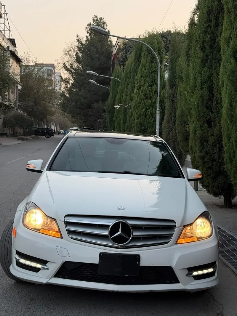 Mercedes C250 2013 White (3)
