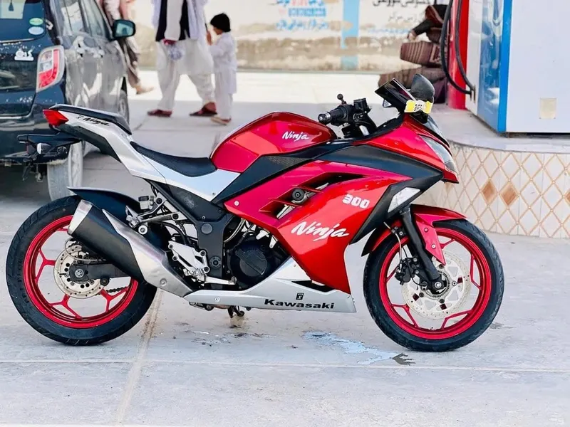 Kawasaki Ninja 300 2021, ABS, 2-Cylinder (4)